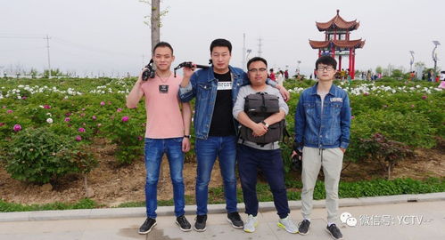 影視宣傳，我們是認真的——西安網(wǎng)站建設助力影視行業(yè)騰飛